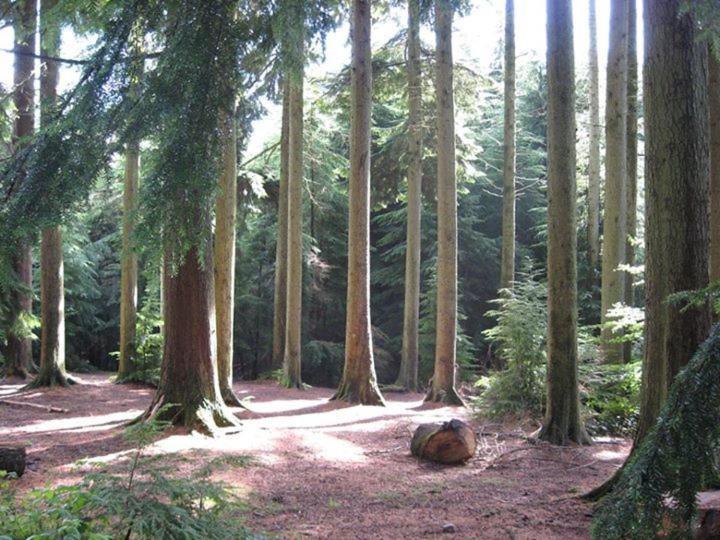 Вилла Moonfleat West Quantoxhead Экстерьер фото